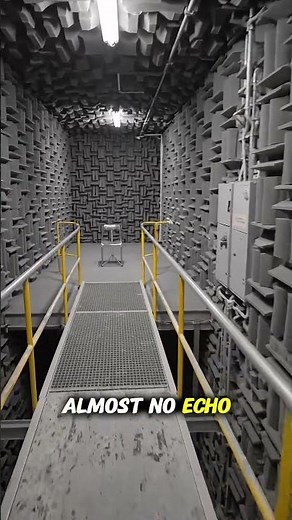 What Happens Inside an Anechoic Chamber? 📉👂
