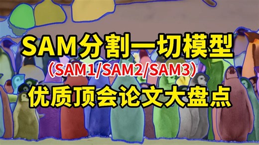 SAM分割一切模型优质顶会论文大盘点，医学图像分割、遥感图像处理、缺陷检测、目标追踪等热门领域全都有！