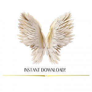 Angel Wings PNG, Angel Wings Clipart, Angel Wings Overlay, Realistic Wings, Memorial Design, White Wings, Digital Overlays, Instant Download - Etsy New Zealand