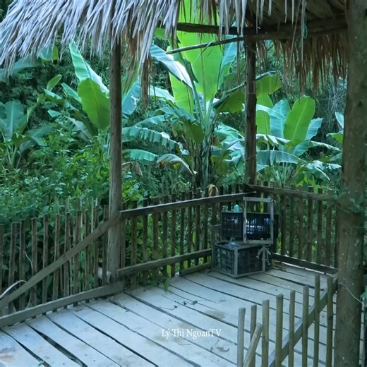 20 reactions | Bamboo gate design for new house, epi 90 | Single Mommy | Facebook