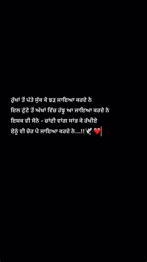 😚☺️ #love #panjabialfaaz #punjabisongs #poetry #puniabialfaaz #newpunjabisong #quotes #punjabimusic