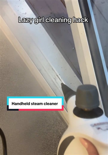 Spring Cleaning with a Handheld Steam Cleaner