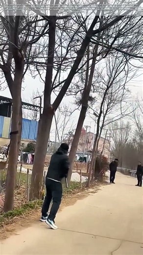 Clearing the Path: The Strategic Art of Selective Vegetation Management