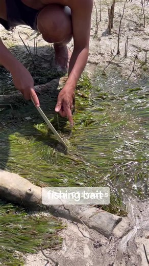 físhing bait #pesca #mar #fishing #fishman
