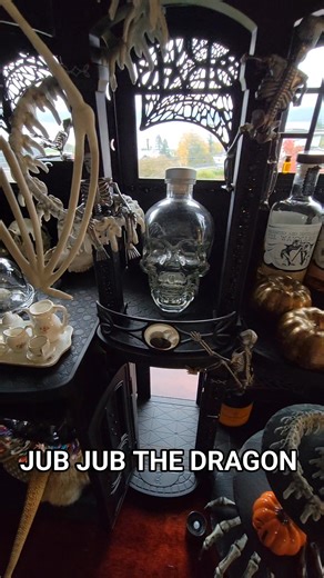 Our house is permanently Halloween-themed. It's called deadication! ~Count Jubula 🤣☠️ #jubjubthedragon #oneofakind #beardeddragon #Halloween #loveyouforever #countjubula | Jub Jub the Dragon