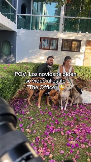 Video de boda al estilo The Office para los novios