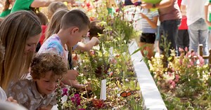 Santa Margarita Elementary students release butterflies into school garden