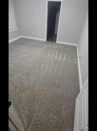 Expert Carpet Cleaning with Hydramaster Stargor