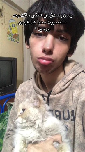 ‏مين يصدق؟؟ #cat #قطط #اكسبلور #explore