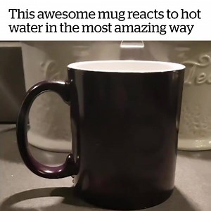 Wow, this is unbelievable...! 😂👀 | VT