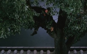 The.Ninja.Wars.1982