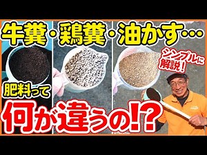 The basics of fertilizers used for base fertilizer and top dressing in home gardens and farms! A ...