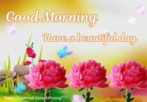 😍😍Good Morning Wednesday => https://bit.ly/3y7i3IY Good Morning Smiling Wednesday Quotes which make them smile so with these💐 #GoodMorning #GoodMorningWishes #GoodMorningwednesday #goodmorningimages #goodmorningquote | Good Morning Quotes, Images, Wishes
