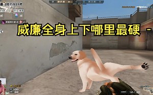 【冒险岛】CF搞笑：威廉全身上下哪里最硬