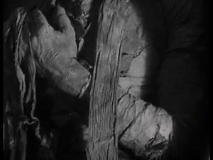 The Mummy (1932) ~ "He went for a little walk." | Black and White Films Page