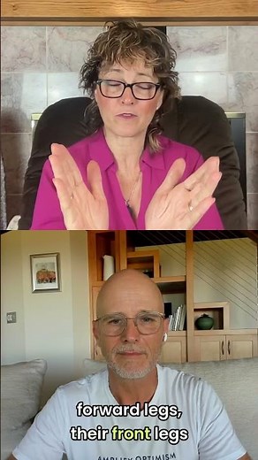 How Pancreatitis Can Affect Your Dog's Entire Body