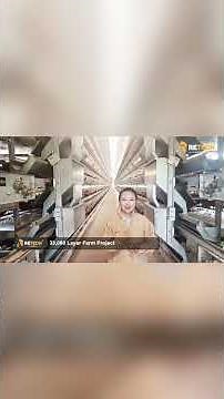 Kenya 33,000 Layer Farm | Fully Automatic H-Type Layer Cage System - RETECH Farming #poultryfarm