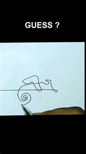 Chameleon Drawing - Line Drawing #drawing #art #usa #sketching #craft