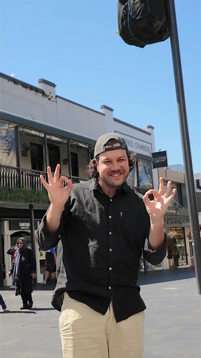Palm Tree on a Pole in Wollongong