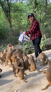 21K views · 2.9K reactions | the life in the cycle of existence, Starvation is the ultimate disease Loving and kindness is the tool to support our planet the Buddha Gotam web.facebook.com/InnerDhamma 640429 | InnerDhamma | Facebook