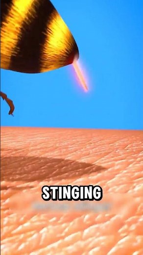 Why Do Bees Die After They Sting You 🐝😮