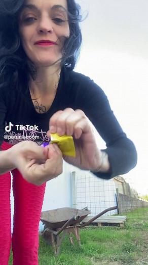 Modificaciones y Piercings de Flor Escarlata: Guía Completa