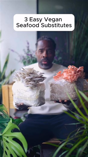 Three easy vegan substitutes for seafood! Chickpeas for tuna, carrot lox on a bagel, and king oyster mushrooms. #PlantBasedRecipes #cooking #seafoodreplacement | Turnip Vegan