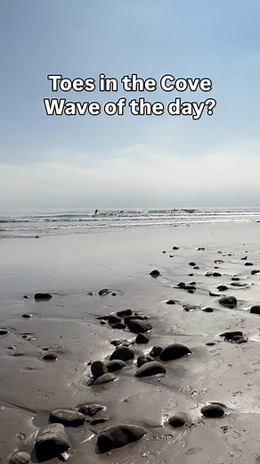 Toes in the Cove just had a pod of dolphins come check out the action! They definitely won this heat 😄🐬 | Surf N Wear's Beach House