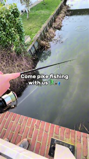 Catch and Cook: The Beauty of Pike Fishing