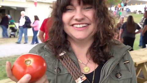 The ultimate tomato taste test to fool a professional gardener