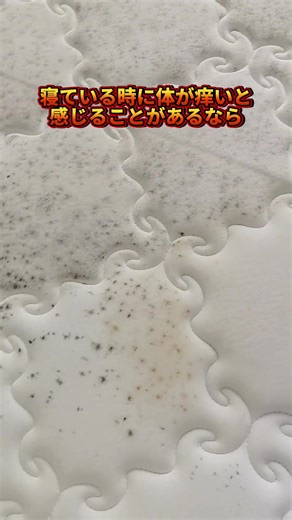 寝ている時にいつもかゆみを感じるなら、ベッドにダニがいないか必ず確認すべきです！#布団クリーナー #掃除術 #ダニ対策 #ダニ #ダニ取り