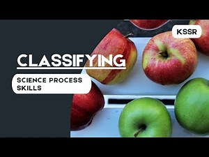 Science Process Skills - Classifying | Science Year 6 KSSR
