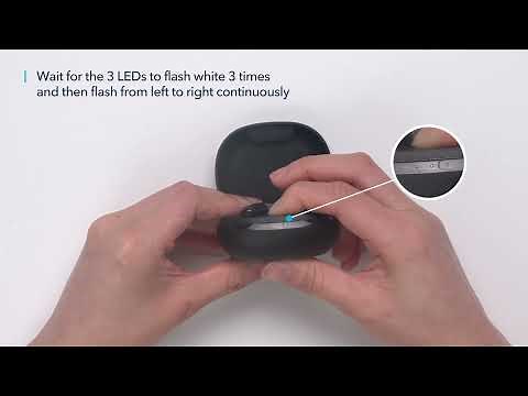 How to reset Life P3 | soundcore Support