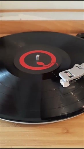 #vyni #qotsa #Shorts #labo_nico