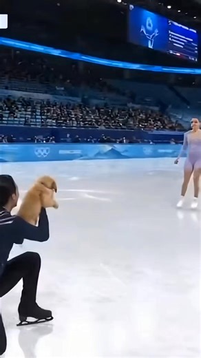 At the Figure Skating Championship, the audience expects a final bow after the routine. Instead, the male skater surprises his partner by bringing a small puppy onto the ice as a romantic gesture. Caught off guard and startled by the unexpected animal on the rink, she reacts emotionally and skates away in frustration while officials step in to safely remove the puppy. The shocking on-ice surprise quickly becomes a viral winter sports headline across global entertainment and sports media. #Figure