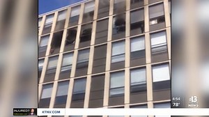 Cat jumps off burning building in Chicago