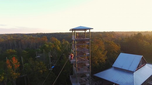 #1 On TripAdvisor ⭐️⭐️⭐️⭐️⭐️ Book your adventure at The Swamp Park in Ocean Isle Beach, NC and have an experience like no other!!! 🐊 🐢 🐍 🦎 - 10 Ziplines - 65 Acres - 3 Sky Bridges - Swamp Tours - ATV Tours - And So Much MORE!!! 🤩 Don't wait, book your adventure today and find out why we are the largest, most exciting attraction in the area! | The Swamp Park
