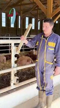 Barre au garrot Cosnet au GAEC de l'Authre ✅