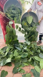 11M views · 69K reactions | Normal leaf convert into transparent leaf process - creative wall decor making #lead #transparent #walldecor #trees | Hetal's Art | Facebook