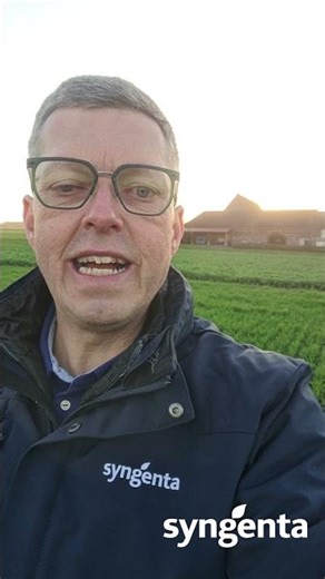 Quick question / Quick answer – Unix + Input Classic or Cherokee Neo in winter wheat?