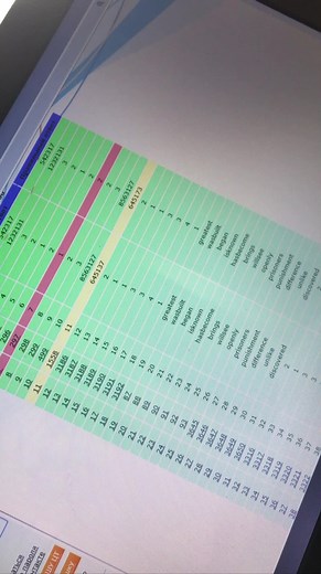 Understanding the ETS TOEFL IBT Test and Travel Documentation