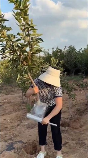 Uprooting a Tree and Cleaning the Roots 🌳🪓 #shorts