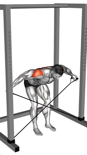 Bent over cable rear delt fly