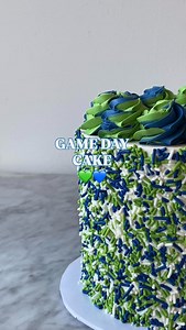 Say hello to our Seahawks Cake 🏈💙💚 Rich marble cake layered with silky chocolate mousse—bold, classic, and a total touchdown. Perfect for game day, birthdays, or any 12s celebration. #sundayfootball #gameday #gohawks #seahawks #seattlebakery #football #footballsunday | Celebrity Cake Studio