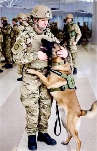 #puppy Brave Royal German Shepherd- Salutes with His Soldier – A Bond Like No Other.