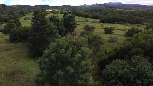 🌴 Tired of Just Relaxing on the Beach? It’s time to kick up some dirt and discover the wild side of Maui. 🏝️💨 Imagine tearing through lush jungle trails, splashing through muddy paths, and climbing to panoramic lookouts that 99% of tourists never see—all behind the wheel of a powerful Can AM UTV. This isn’t your average island excursion. This is Maui Offroad Adventures—the ultimate guided thrill ride through private trails deep in the West Maui Mountains. 🚙 What to Expect: ✅ Drive your own 4
