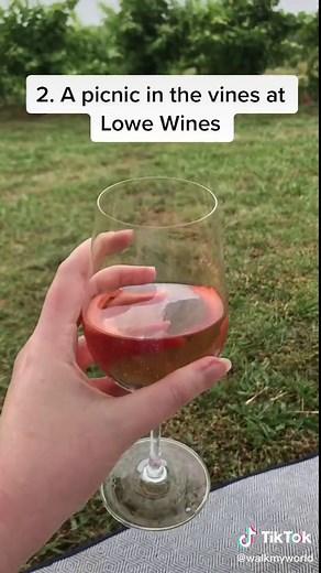 Top 5 Things to Do in Mudgee, NSW