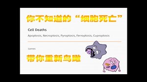 带你重新鸟瞰不一样的Cell Deaths