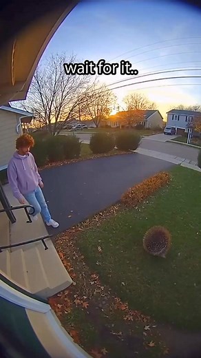 Try it now and push the boundaries of creativity! 🔥👇 | Videa: AI Video Maker, Effects