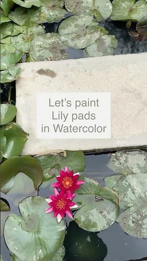 Paint Lily Pads Using Watercolor